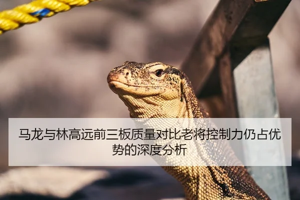马龙与林高远前三板质量对比老将控制力仍占优势的深度分析 - KAIYUN SPORTS